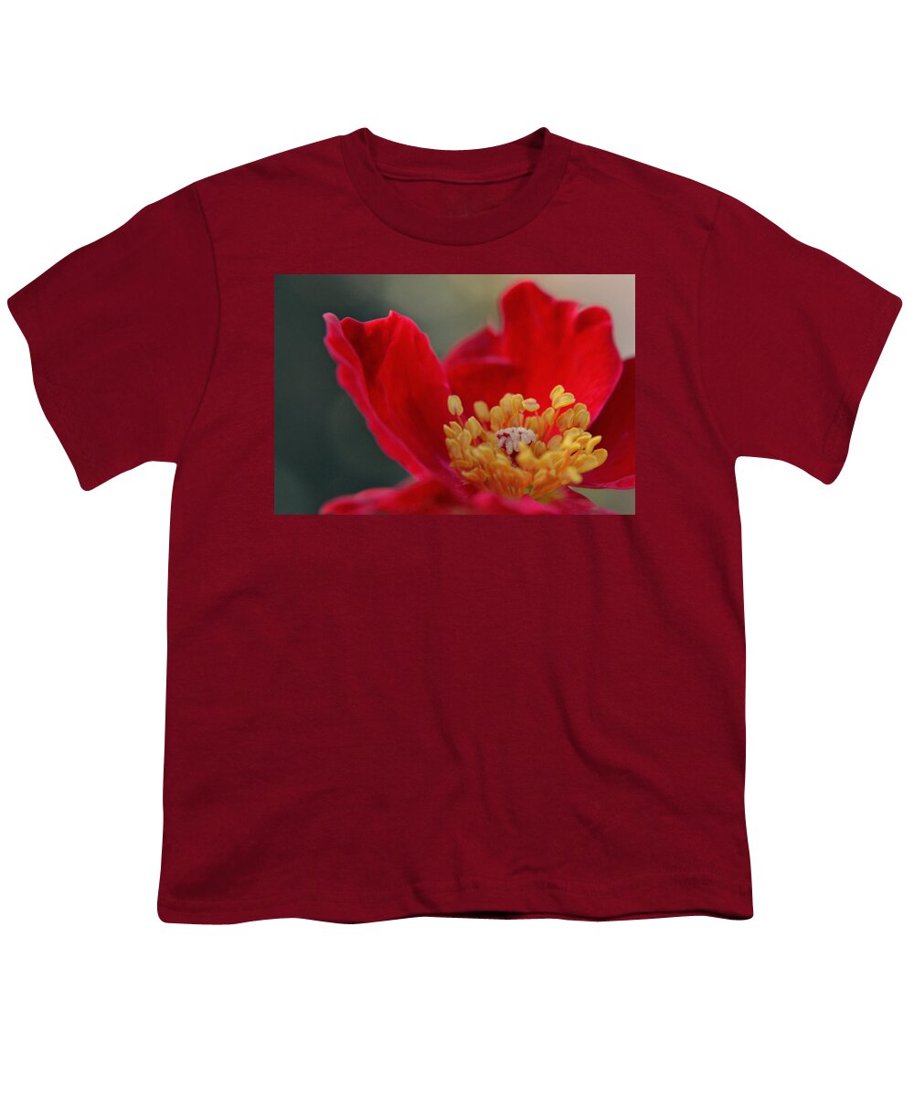 Flower Youth T-Shirt featuring the photograph Light and Flame by Melanie Moraga