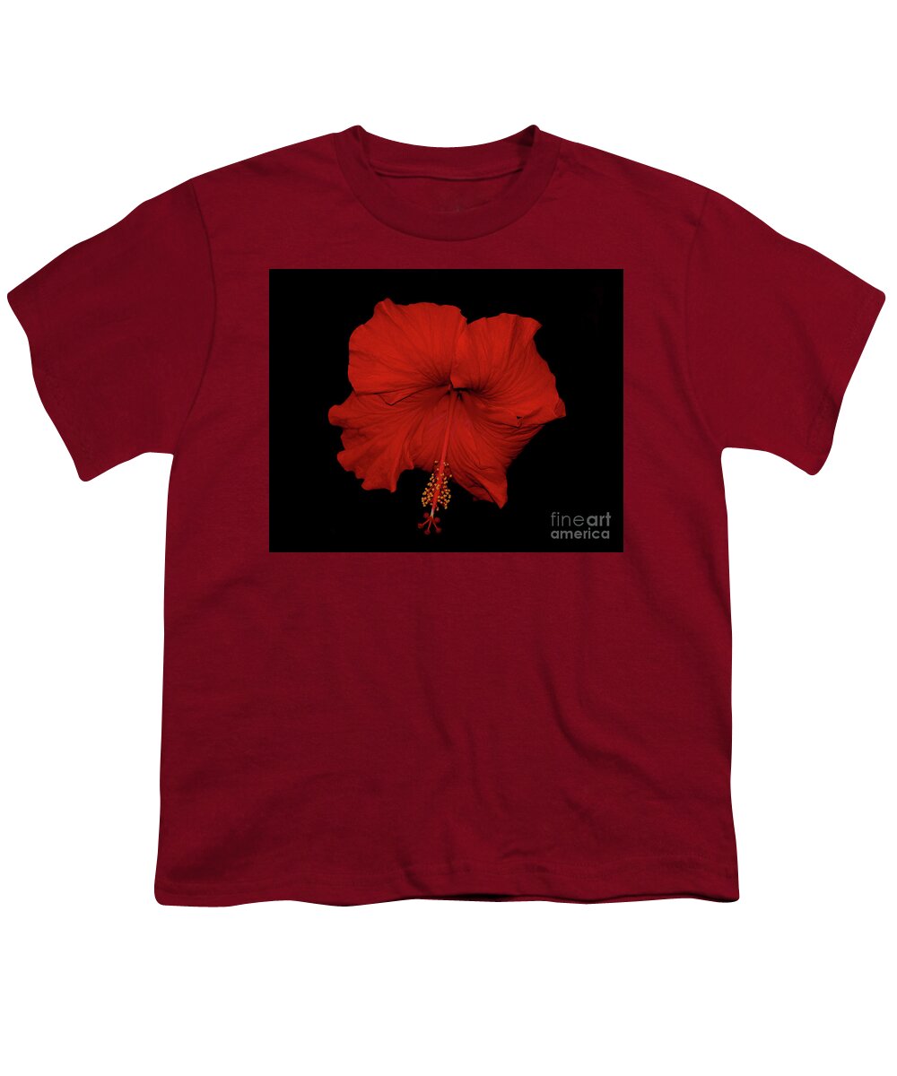 Red Hibiscus Youth T-Shirt featuring the photograph 1- Red Hibiscus by Joseph Keane