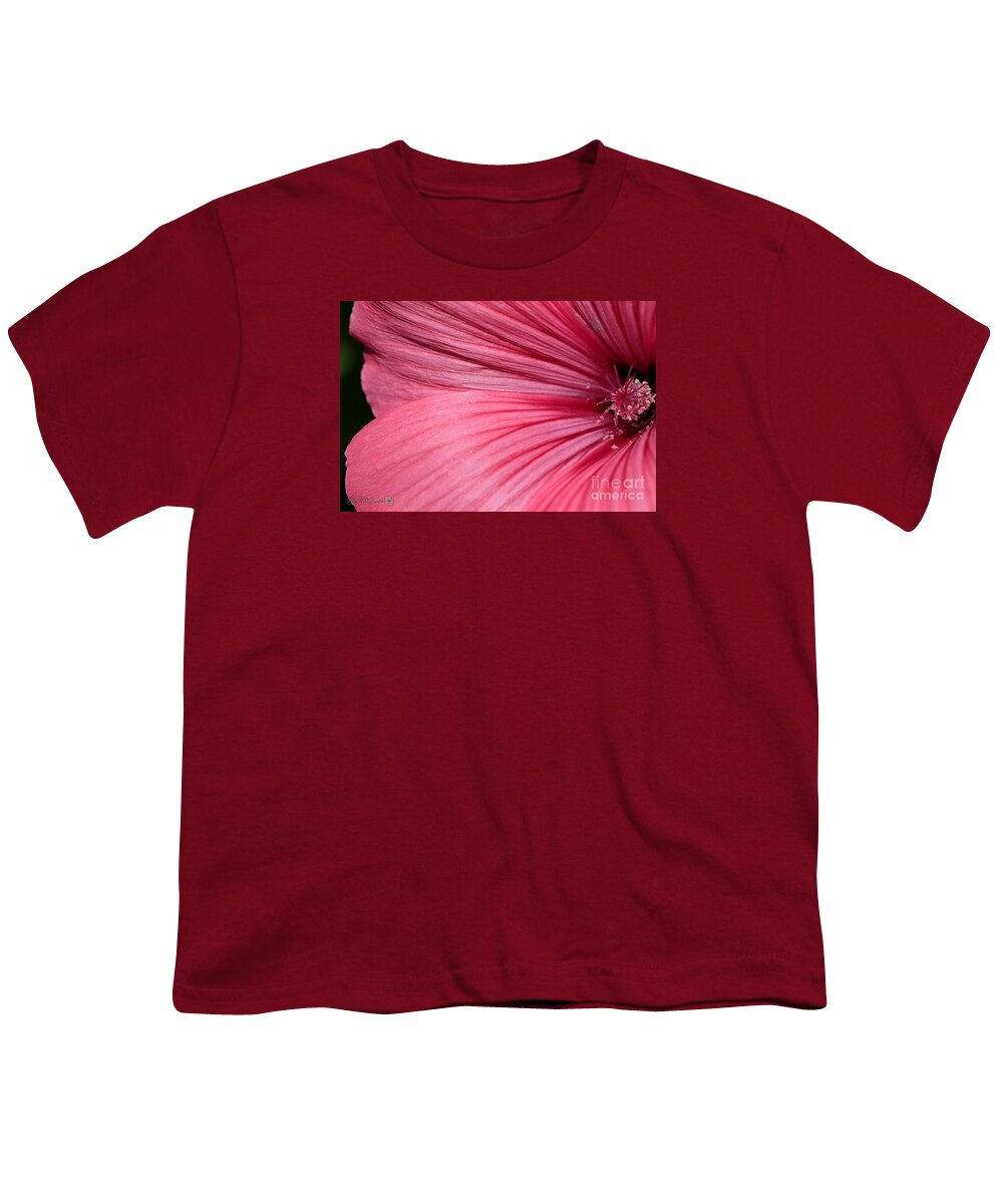 Mccombie Youth T-Shirt featuring the photograph Lavatera named Silver Cup #3 by J McCombie