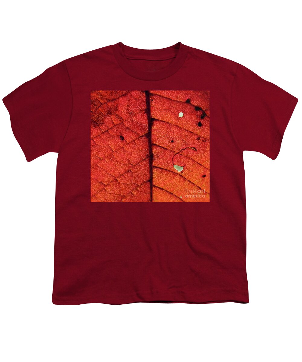 Autumn Leaf Youth T-Shirt featuring the photograph Abstract Autumn Leaf by Martin Howard