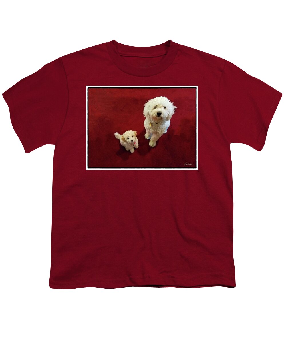 Cute Youth T-Shirt featuring the photograph Big Dog, Little Dog by Diana Haronis