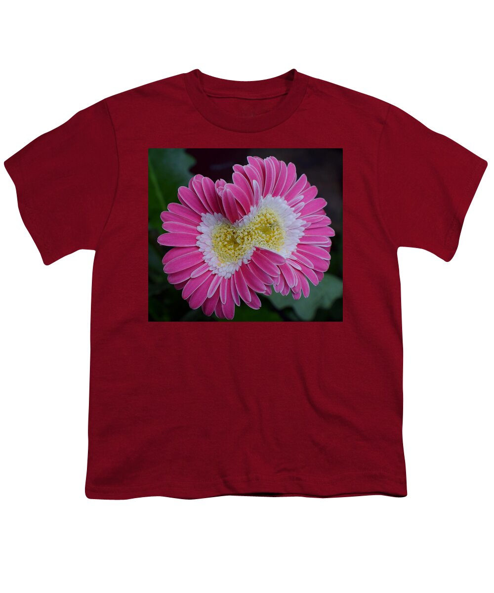 Flowers Youth T-Shirt featuring the photograph Conjoined Gerber by Jimmy Chuck Smith