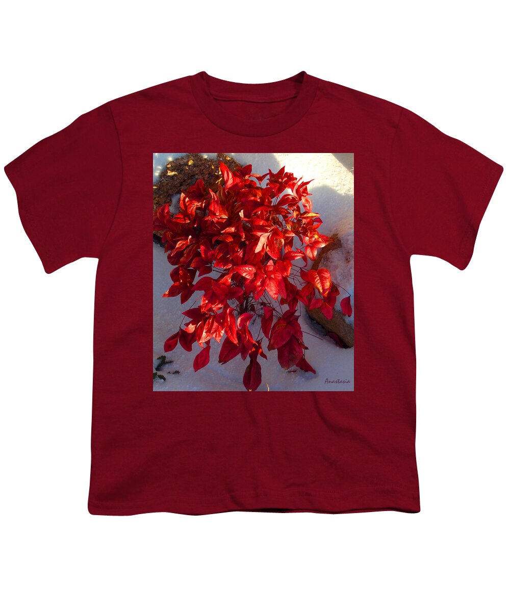 Red Bush Youth T-Shirt featuring the photograph December Burning Bush by Anastasia Savage Ealy