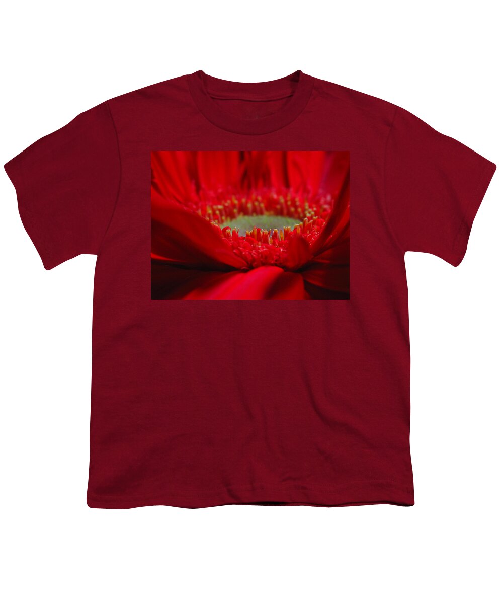 Gerber Daisy Youth T-Shirt featuring the photograph Gerber Daisy by Juergen Roth