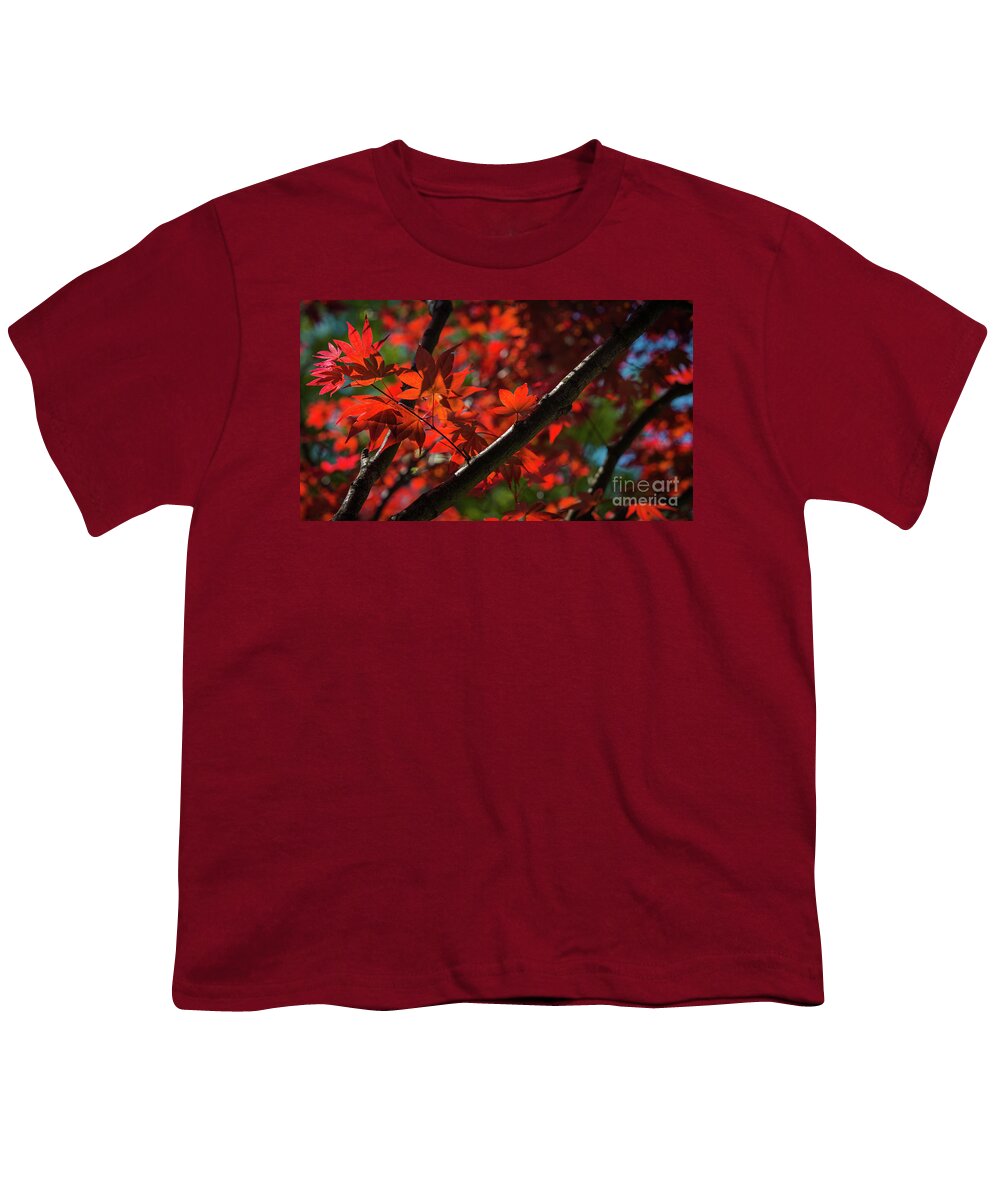 Virginia Youth T-Shirt featuring the photograph Red leaves in spring sun by Agnes Caruso