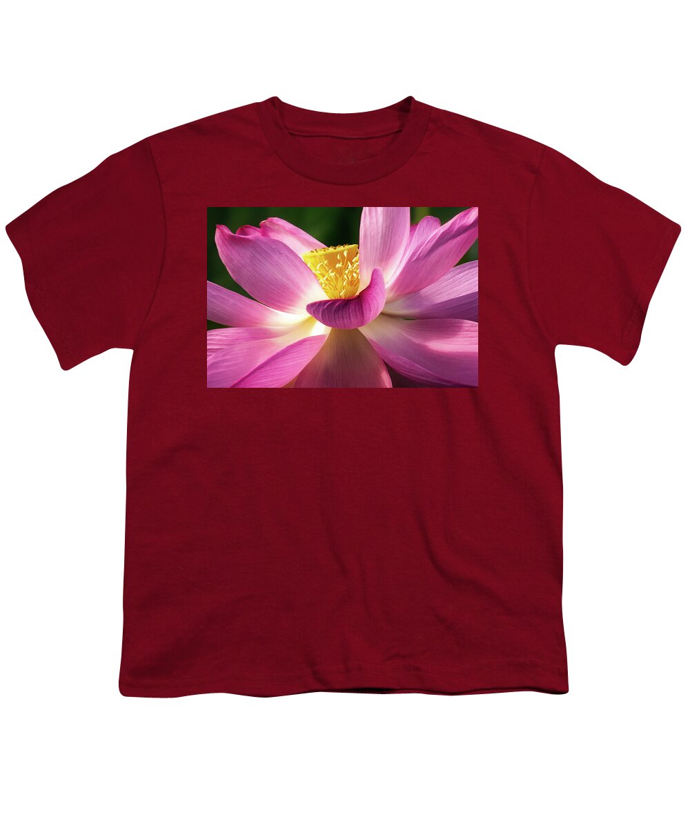 Otus Youth T-Shirt featuring the photograph Sacred Lotus #3 by C Renee Martin
