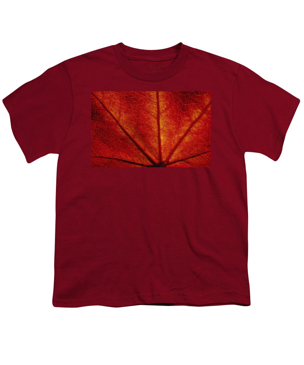 Maple Leaf Youth T-Shirt featuring the photograph You're So Vein by Donna Blackhall