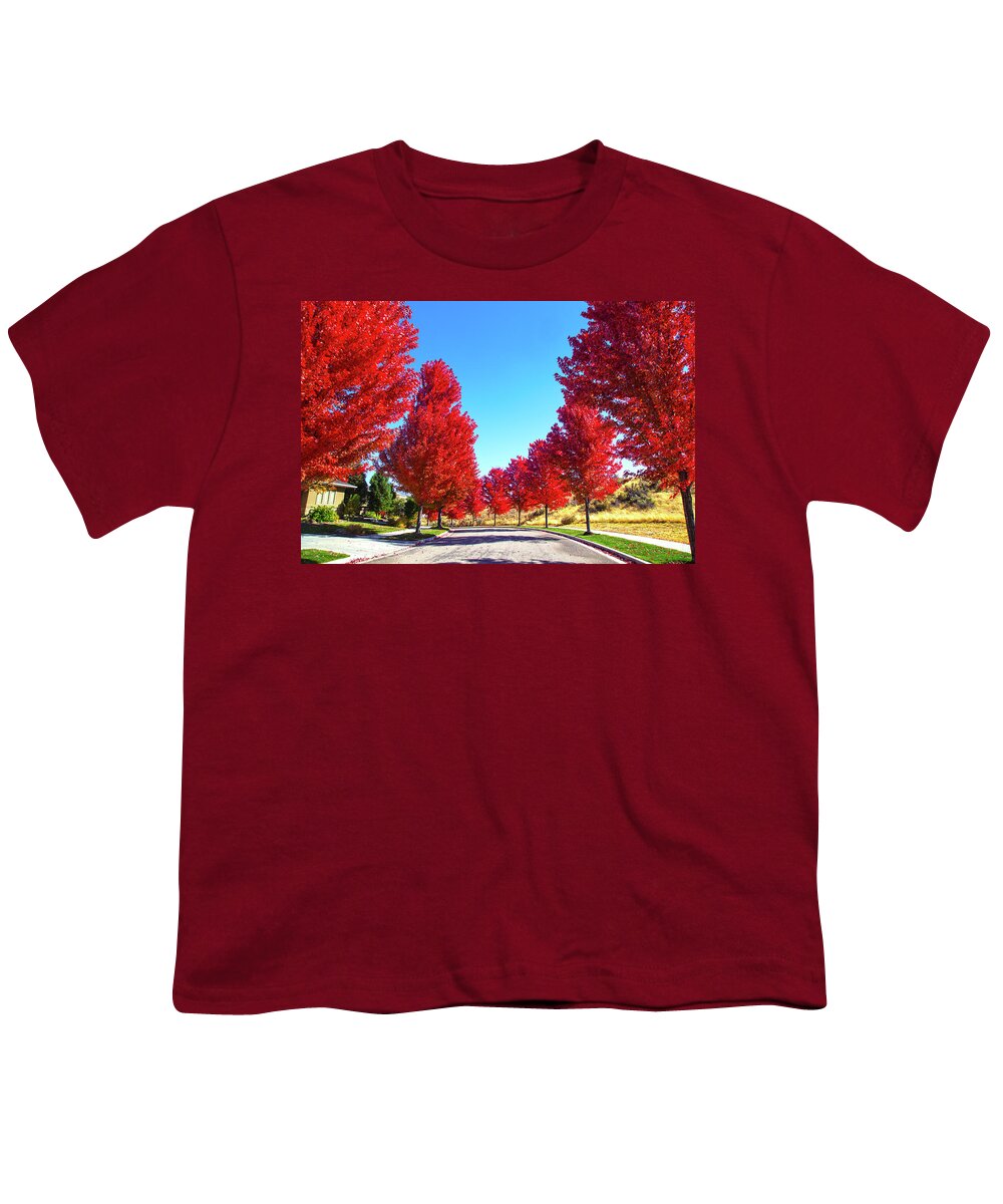 Fall Youth T-Shirt featuring the photograph Fall in Boise #1 by Dart Humeston