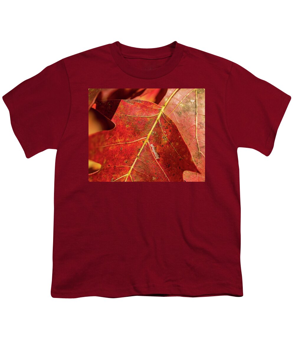 Fall Youth T-Shirt featuring the photograph Nature Photography - Fall Leaves by Amelia Pearn