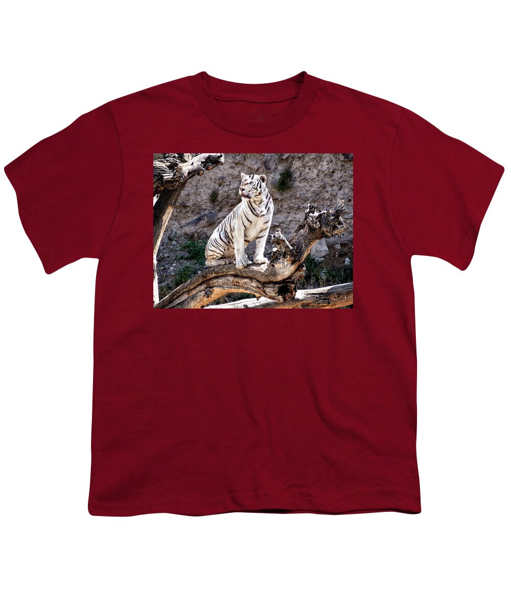 White Tiger Youth T-Shirt featuring the photograph White Tiger by Bearj B Photo Art