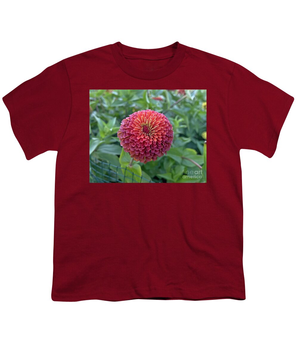Pink Youth T-Shirt featuring the photograph Colorful Zinnia 1074 by Jack Schultz