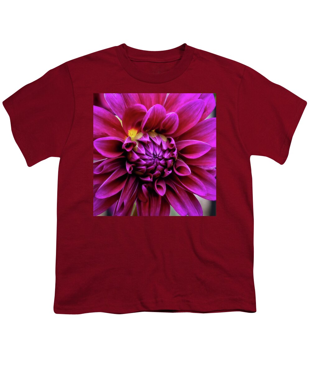 Flower Youth T-Shirt featuring the photograph Dahlia Squared-2 by John Kirkland