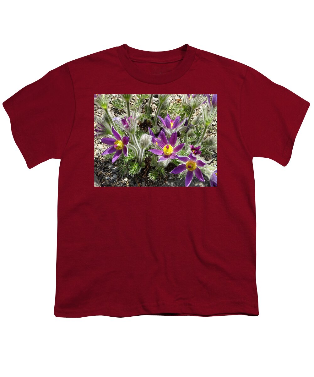 Flora Youth T-Shirt featuring the photograph Pulsatilla vulgaris Pasque flower by Russel Considine