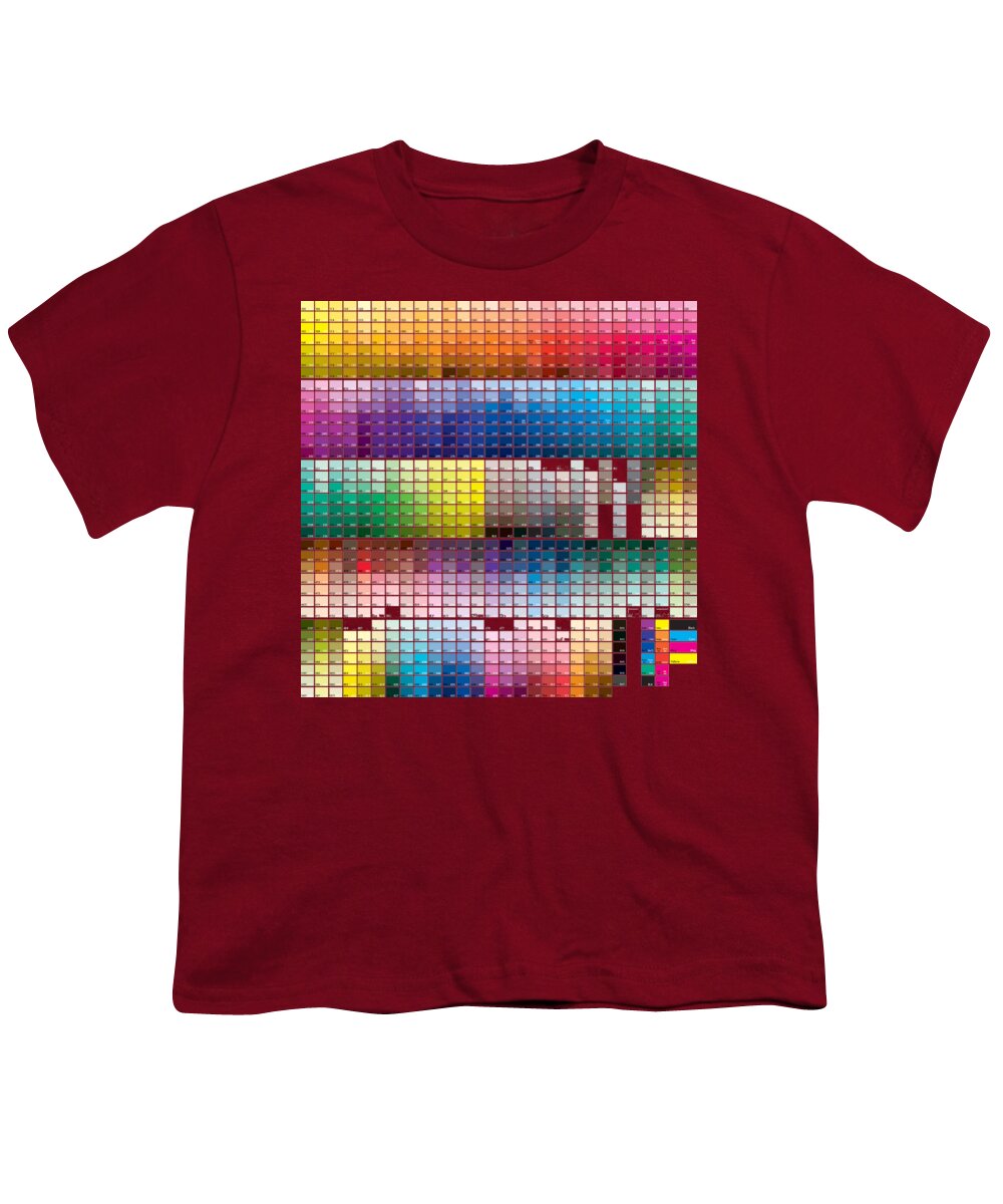 T Shirt Youth T-Shirt featuring the painting Rubino T-Shirt Tee Tees T Shirt Pantone Color Chart Design Art Artist by Tony Rubino