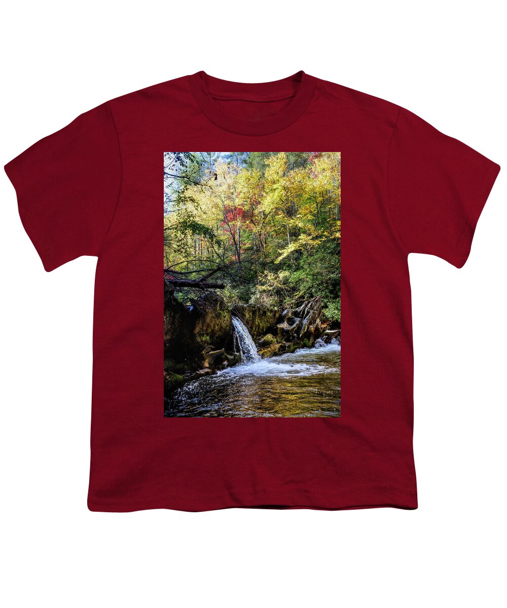 Carolina Youth T-Shirt featuring the photograph Waterfall in the Smoky Mountains Autumn by Debra and Dave Vanderlaan