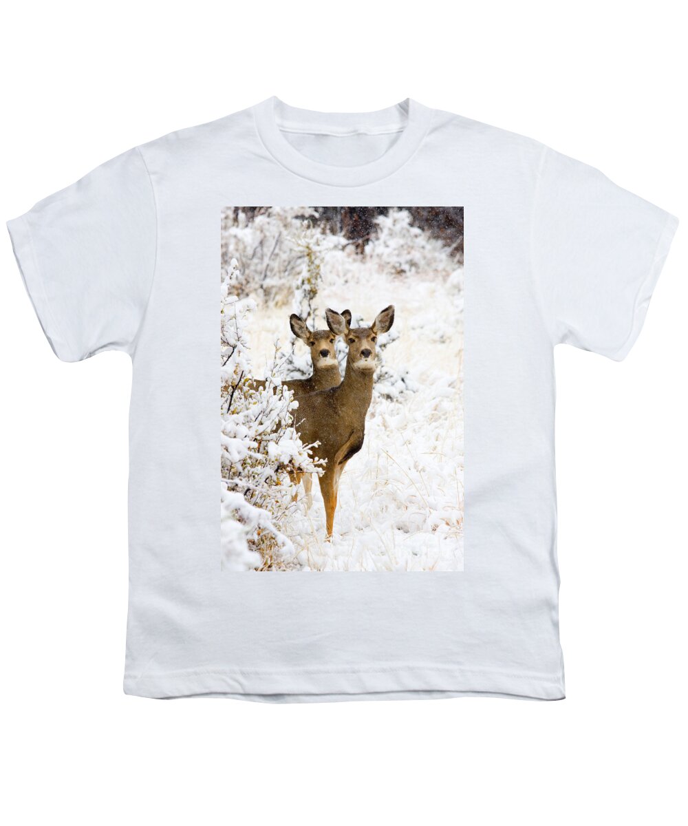 Deer Youth T-Shirt featuring the photograph Doe Mule Deer in Snow #1 by Steven Krull
