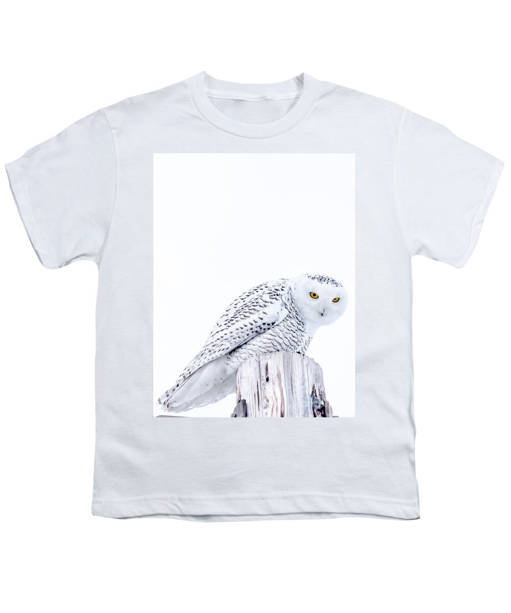 Snowy Youth T-Shirt featuring the photograph Piercing Eyes by Cheryl Baxter