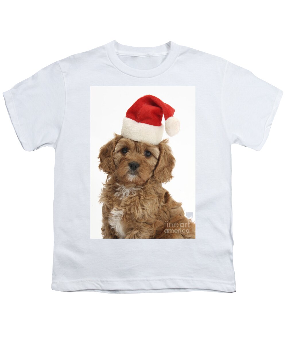Ed Cavapoo Pup Youth T-Shirt featuring the photograph Cavapoo Puppy In Christmas Hat #2 by Mark Taylor