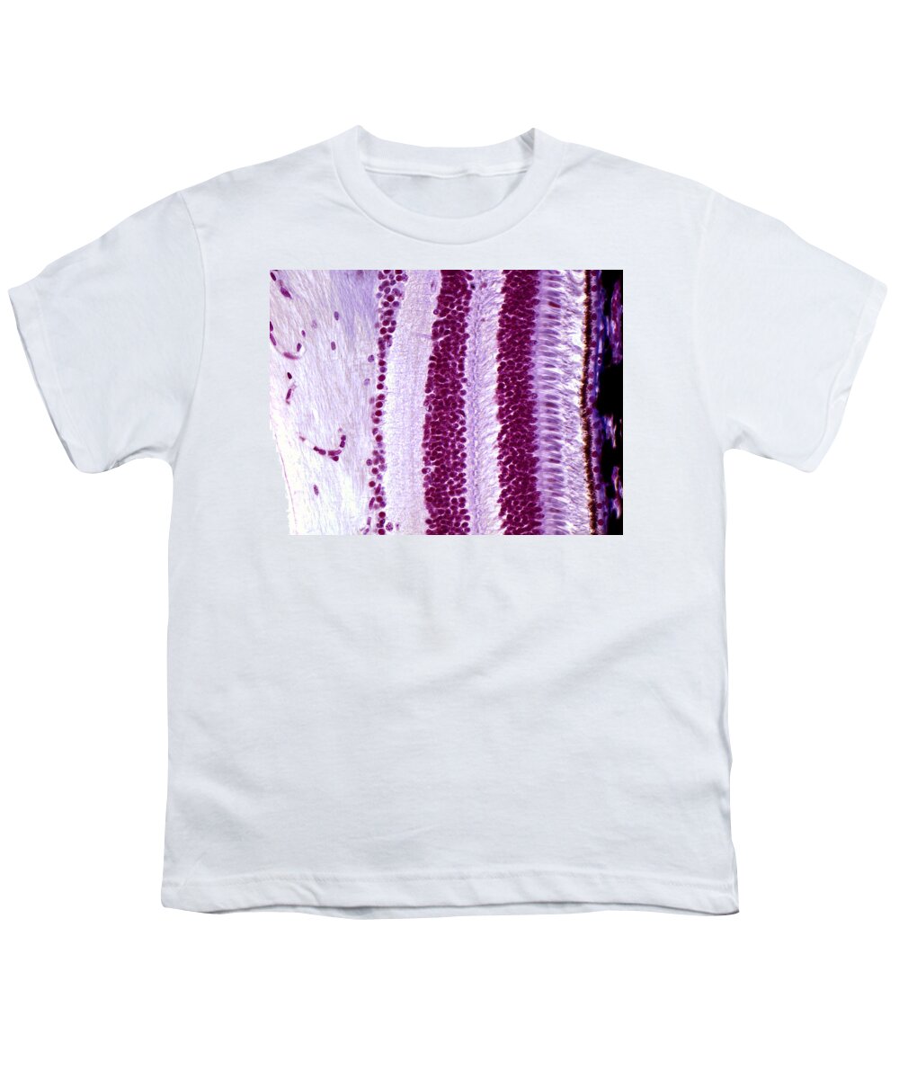 Eye Youth T-Shirt featuring the photograph Eye, Retina, Lm #5 by Alvin Telser