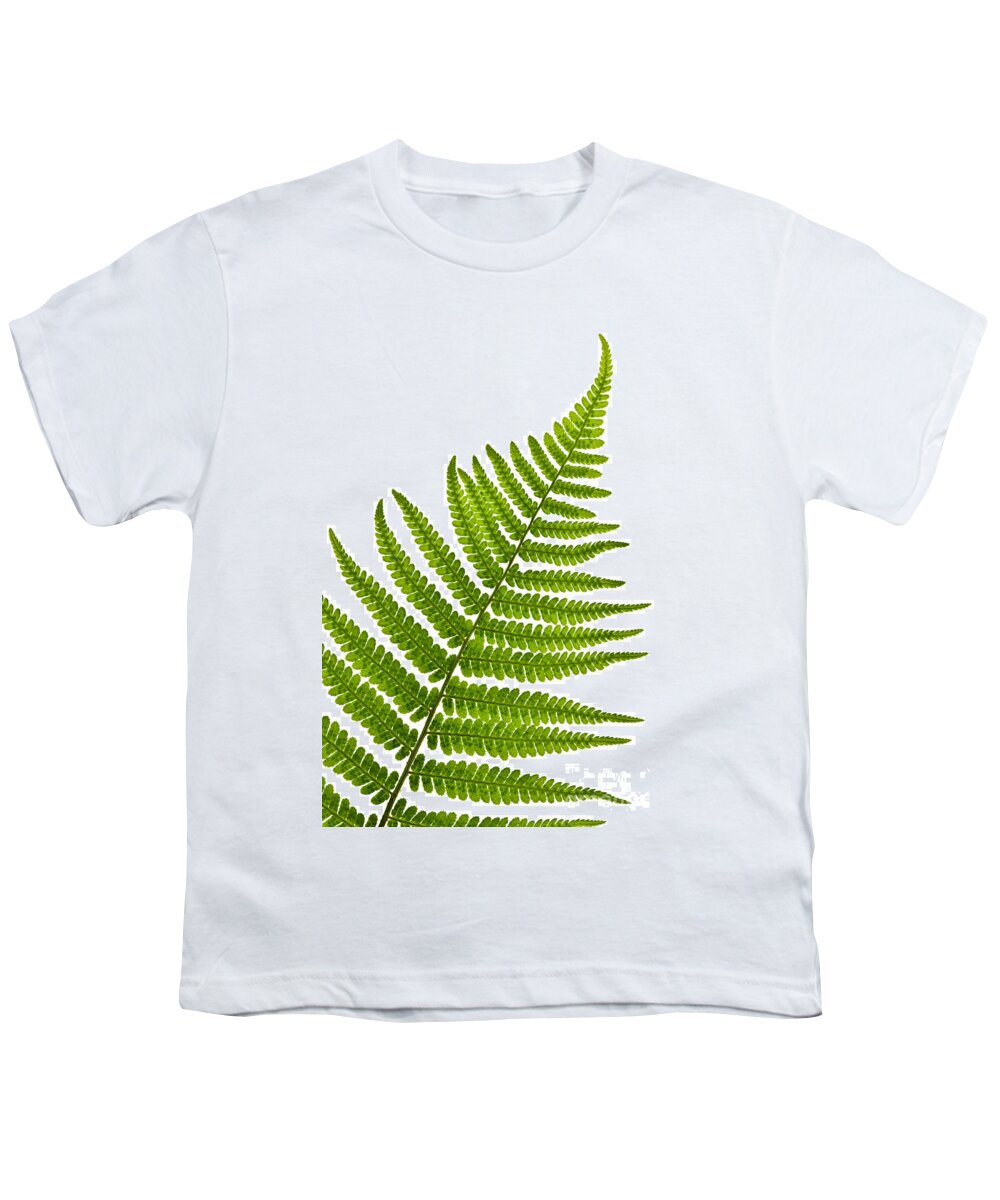 Fern Youth T-Shirt featuring the photograph Fern leaf detail by Elena Elisseeva