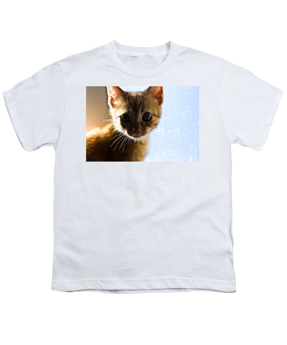 Cat Youth T-Shirt featuring the photograph Amazed by Jorge Maia