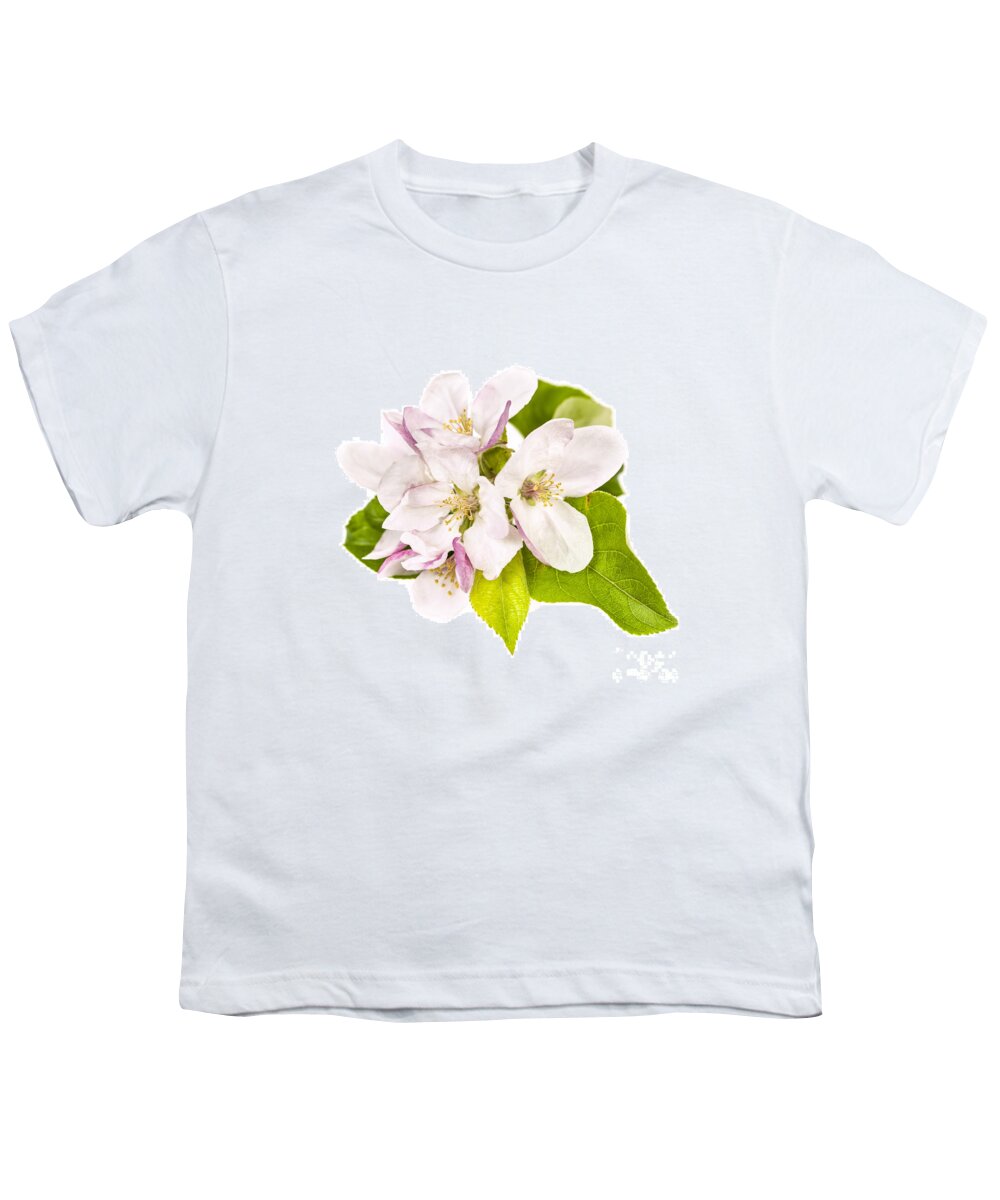 Apple Blossoms Youth T-Shirt featuring the photograph Apple blossom by Elena Elisseeva