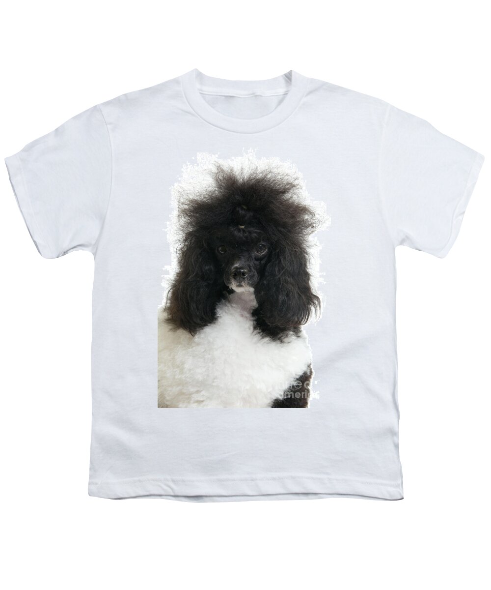 Poodle Youth T-Shirt featuring the photograph Black And White Poodle by Jean-Michel Labat