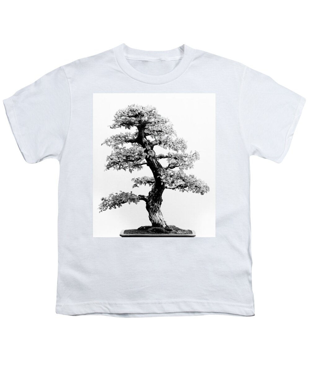 Japan Youth T-Shirt featuring the photograph Bonsai Tree by Sebastian Musial
