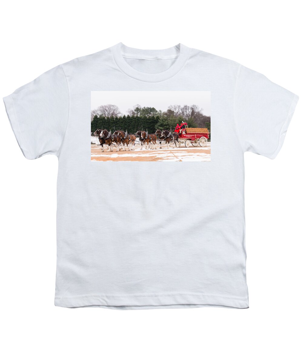 Beer Youth T-Shirt featuring the photograph Budweiser Clydesdales by Stacy Abbott