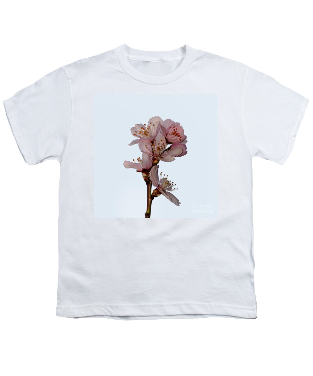 Cherry Youth T-Shirt featuring the photograph Cherry blossom by Steev Stamford