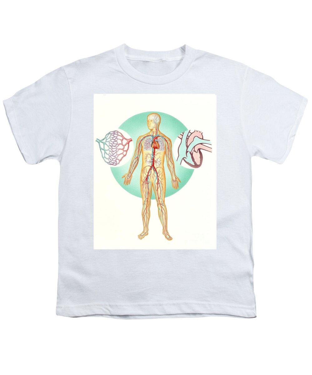 Illustration Youth T-Shirt featuring the photograph Circulatory System by Carlyn Iverson