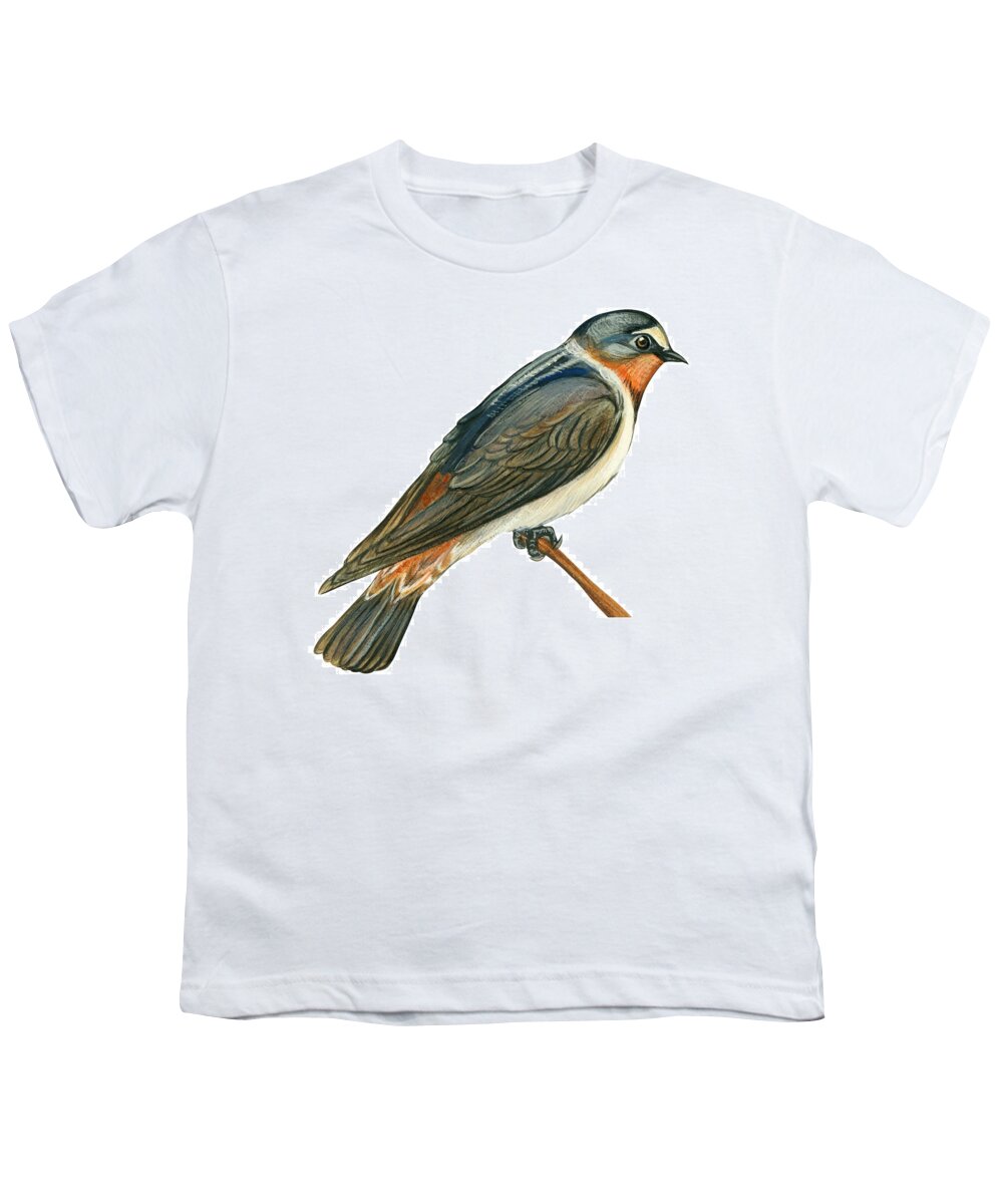 No People; Square Image; Side View; Full Length; White Background; One Animal; Wildlife; Close Up; Illustration And Painting; Zoology; Bird; Branch; Wing; Feather; Perching; Cliff Swallow; Beak; Petrochelidon Pyrrhonota Albifrons Youth T-Shirt featuring the drawing Cliff swallow by Anonymous