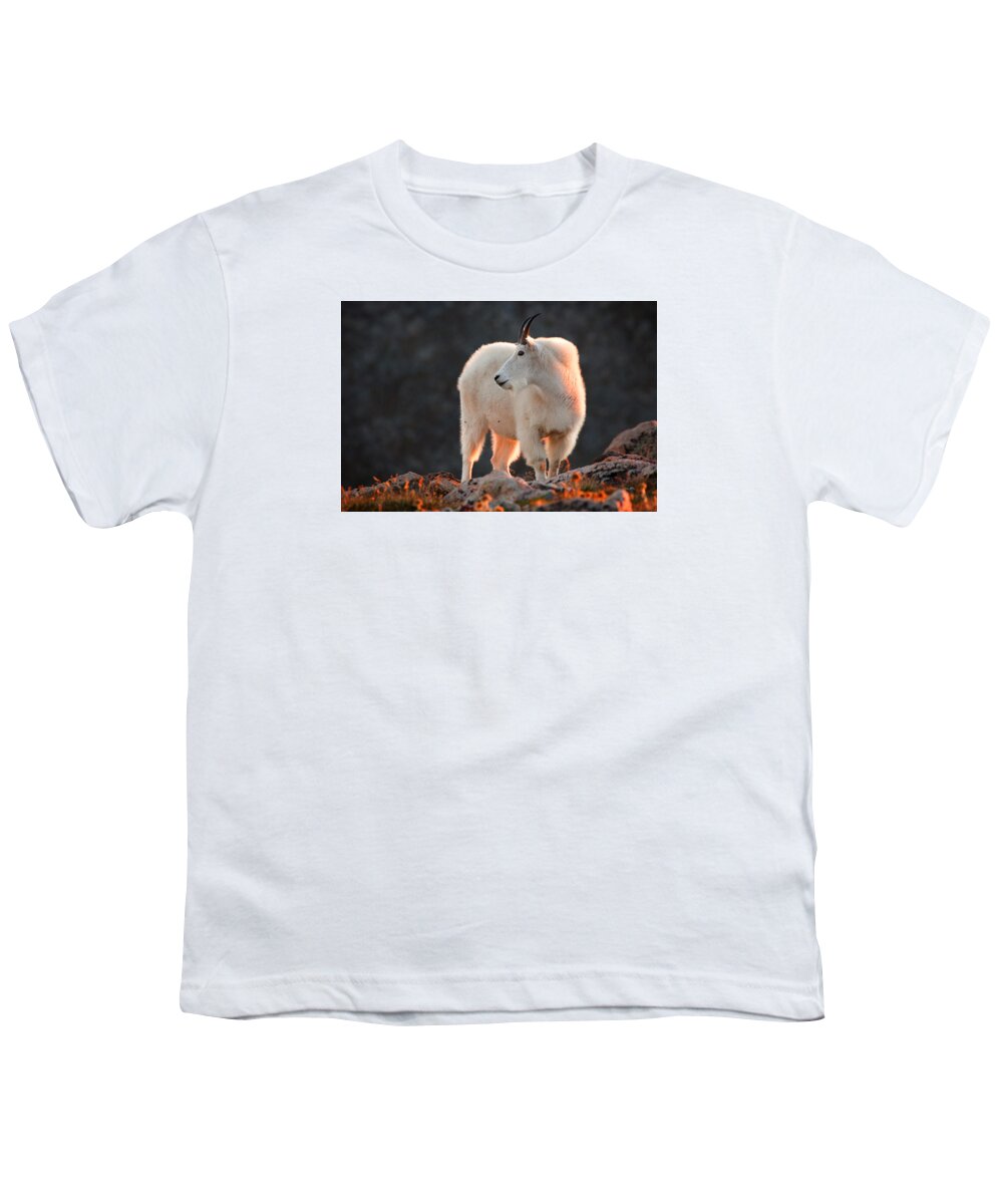 Mountain Goat Photograph Youth T-Shirt featuring the photograph East of Evening by Jim Garrison