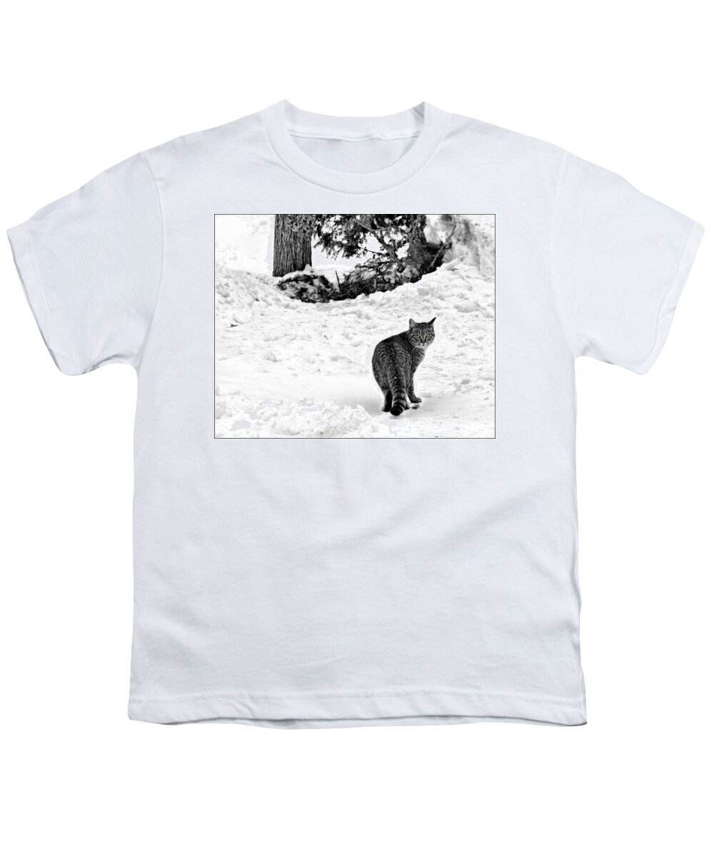 Cat Youth T-Shirt featuring the photograph Farm Cat by Nikolyn McDonald