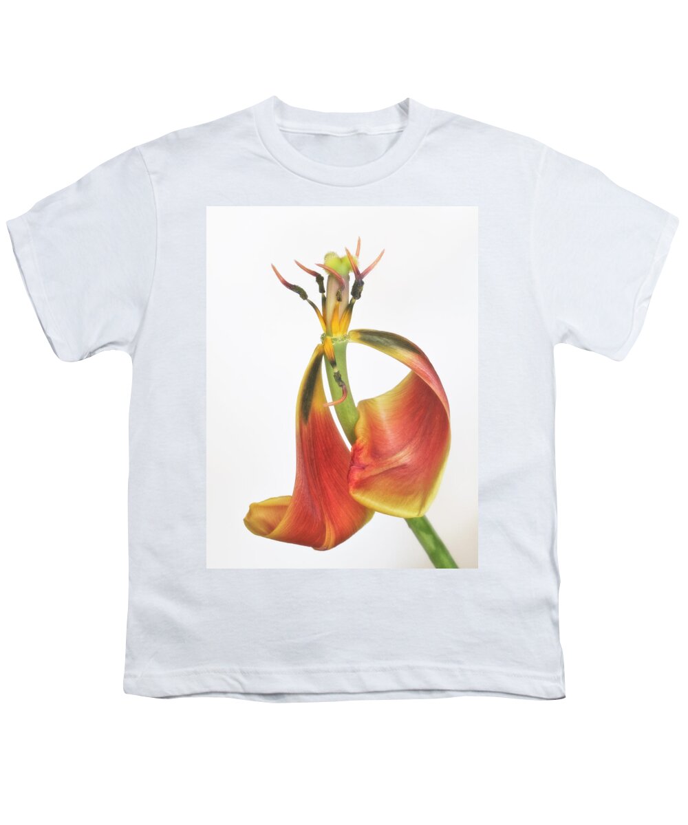 Bloom Youth T-Shirt featuring the photograph Final Dance by David and Carol Kelly