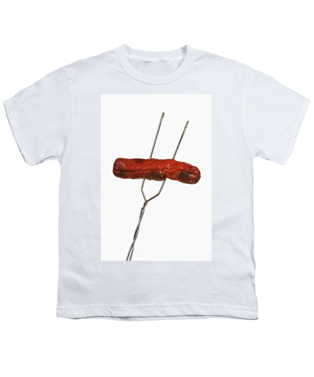 Americana Youth T-Shirt featuring the photograph Fire Roasted Hot Dog by James BO Insogna