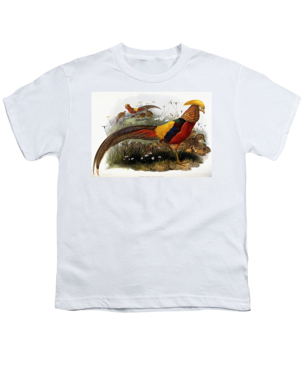 Golden Pheasants Youth T-Shirt featuring the painting Golden Pheasants by Joseph Wolf