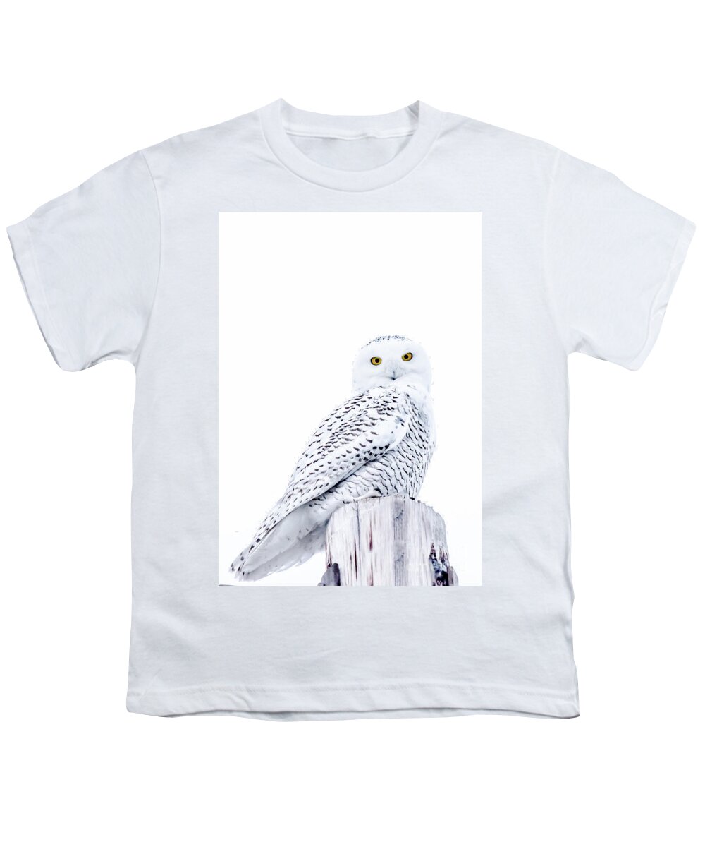 Field Youth T-Shirt featuring the photograph Gorgeous Snowy Owl by Cheryl Baxter