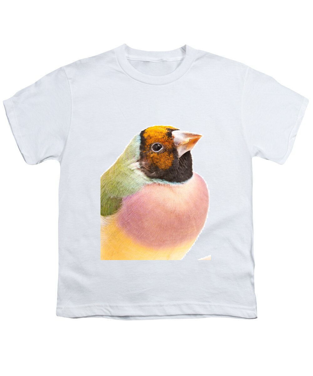 Animal Youth T-Shirt featuring the photograph Gouldian Finch Erythrura Gouldiae by David Kenny