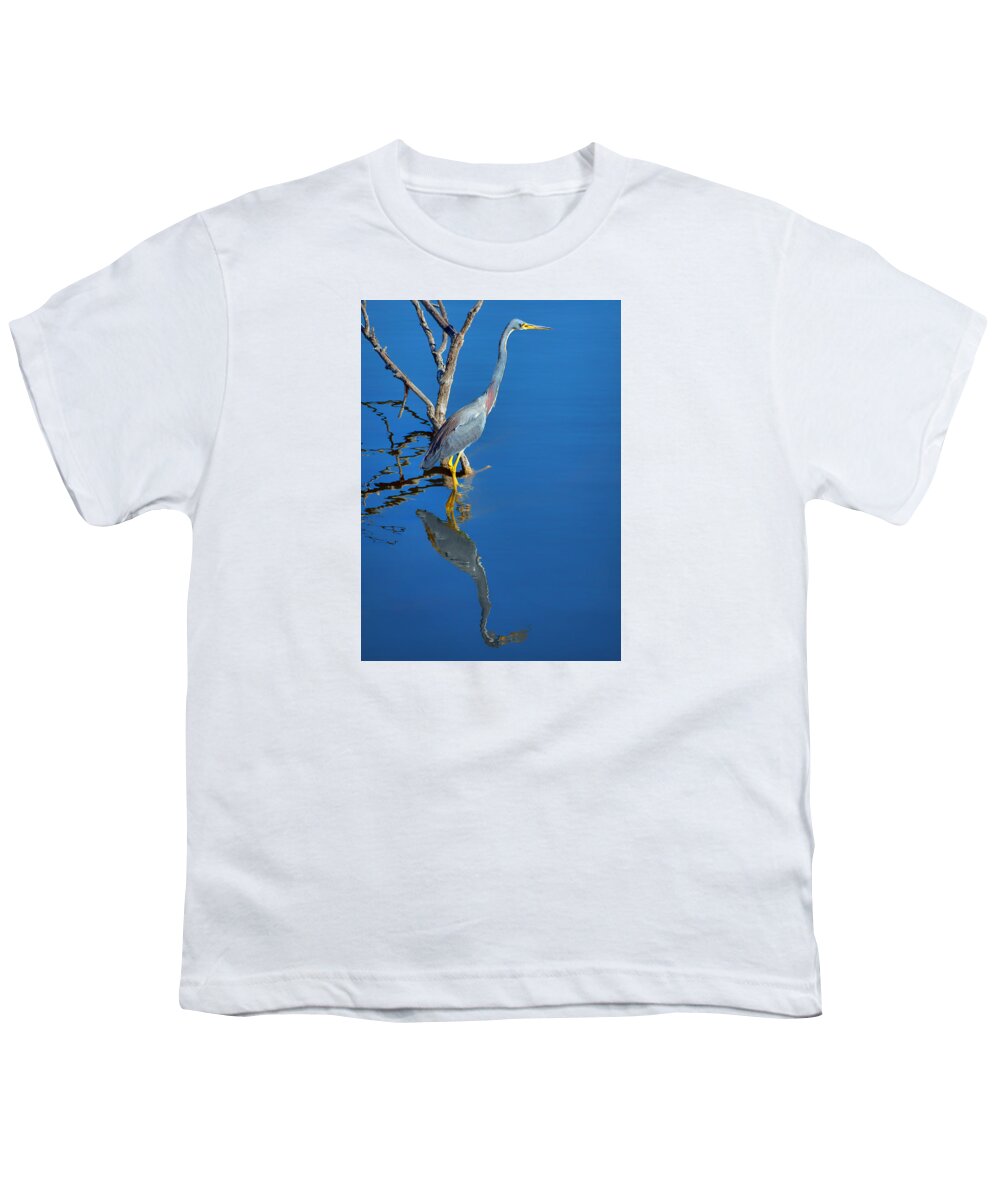 Herons Youth T-Shirt featuring the photograph Tricolored Heron by Nikolyn McDonald