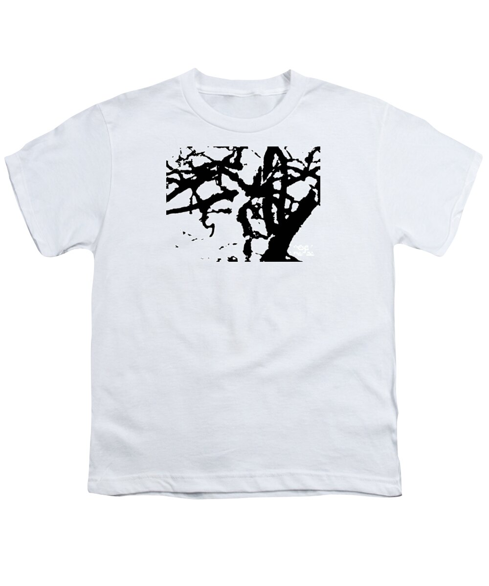 Acrobatics Youth T-Shirt featuring the photograph Group acrobatics by Pauli Hyvonen