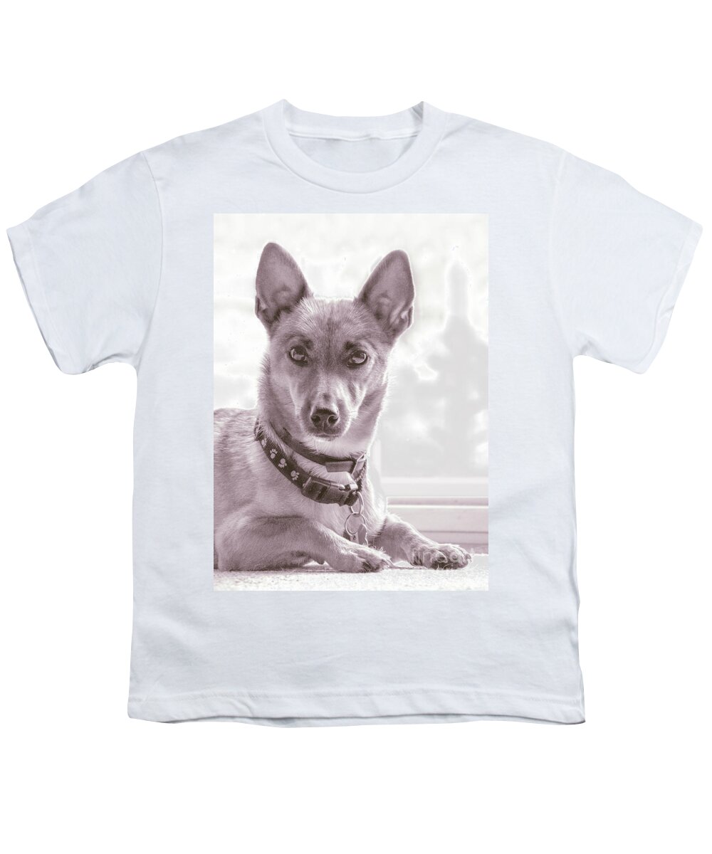 Cute Youth T-Shirt featuring the photograph High Key Barney by Linsey Williams