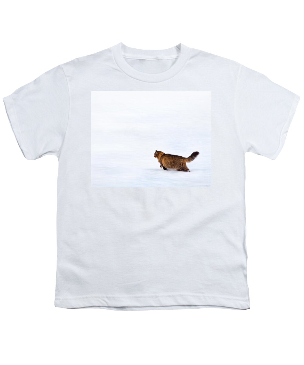 Domestic Cats Youth T-Shirt featuring the photograph Hunter At Work by Theresa Tahara