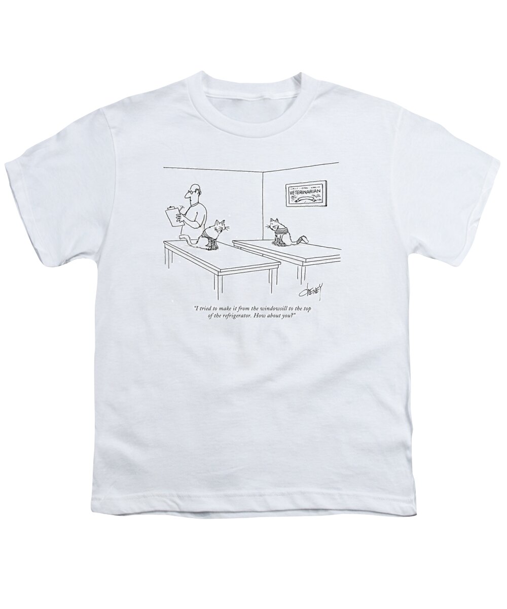 Pets Youth T-Shirt featuring the drawing I Tried To Make It From The Windowsill To The Top by Tom Cheney