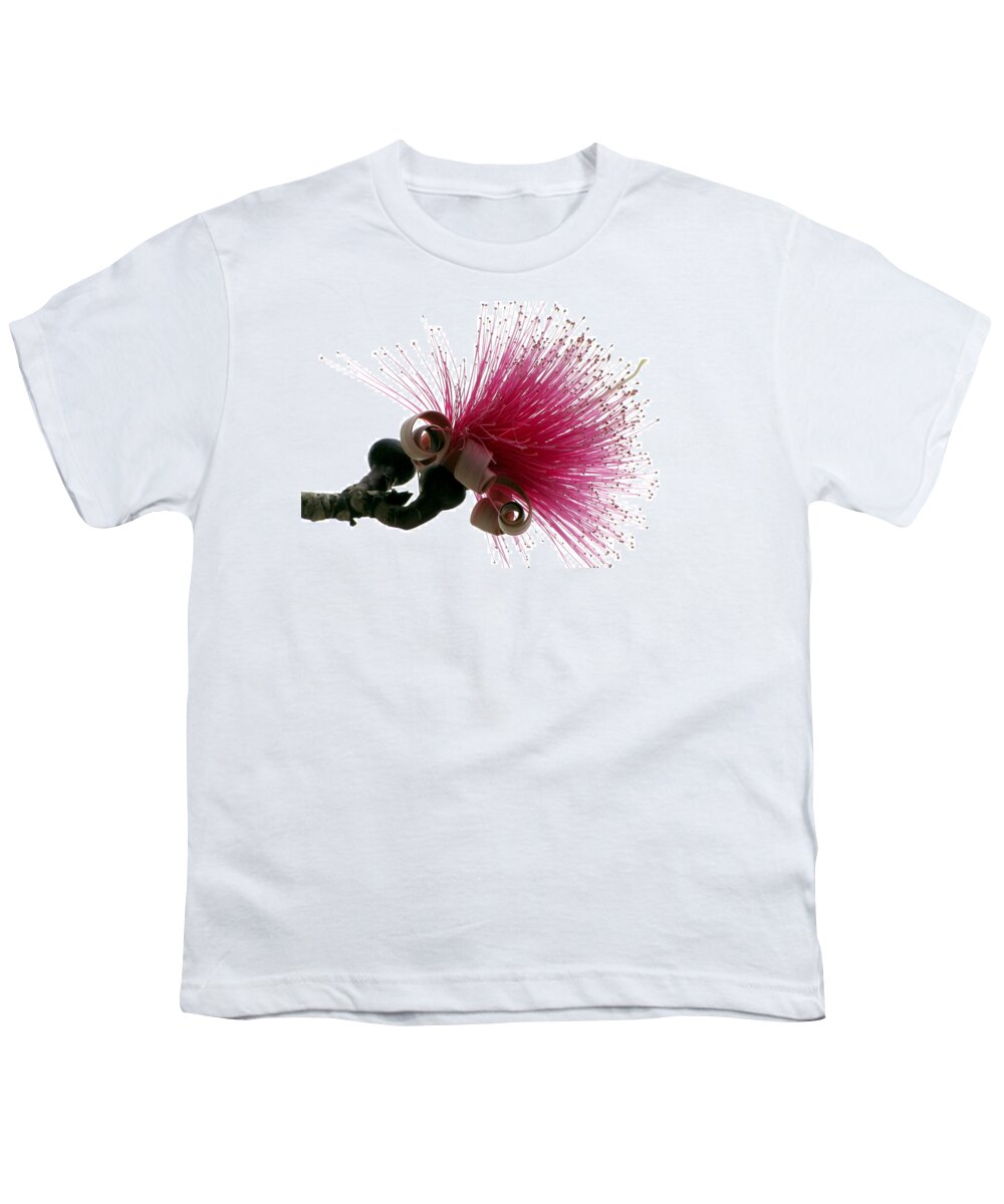 Paintbrush Youth T-Shirt featuring the photograph Im a Flower by Bob Slitzan