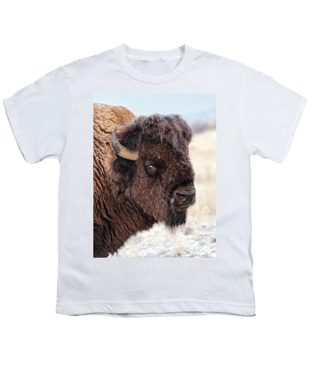 Olena Art Youth T-Shirt featuring the photograph In the Presence of Bison - 2 by OLena Art by Lena Owens - Vibrant DESIGN