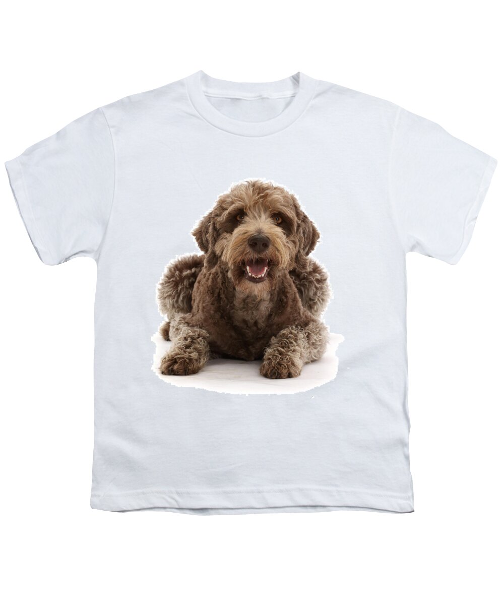 Animals Youth T-Shirt featuring the photograph Labradoodle Lying With Head by Mark Taylor
