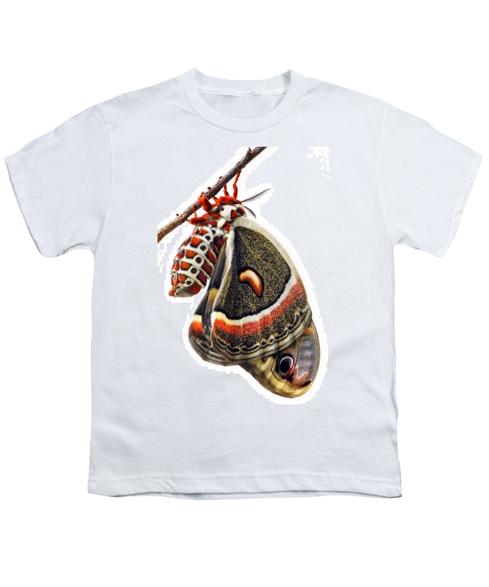 Cecropia Moth Youth T-Shirt featuring the photograph Cecropia Moth Emerged by Christina Rollo