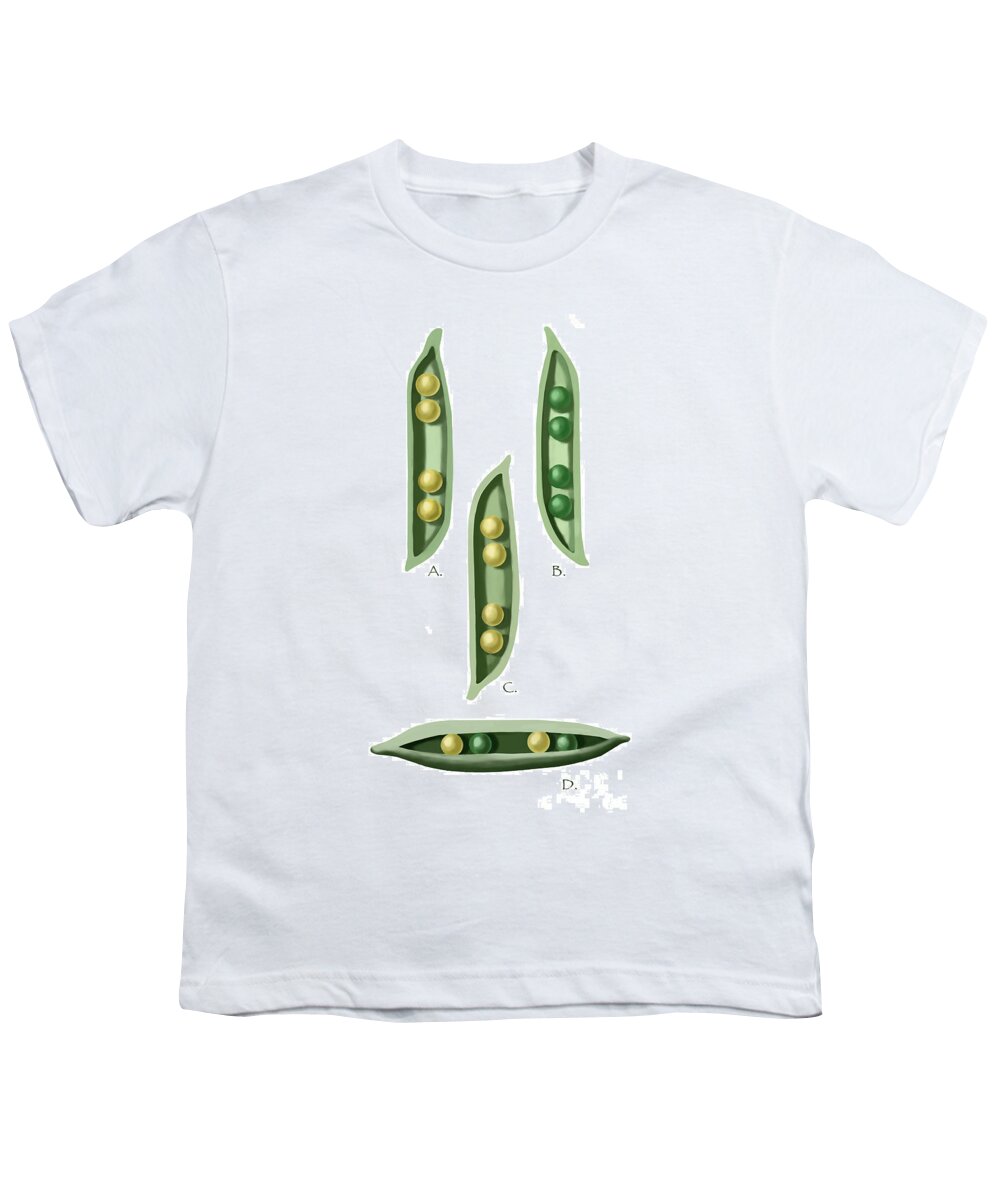 Genetic Youth T-Shirt featuring the photograph Mendels Peas by Spencer Sutton