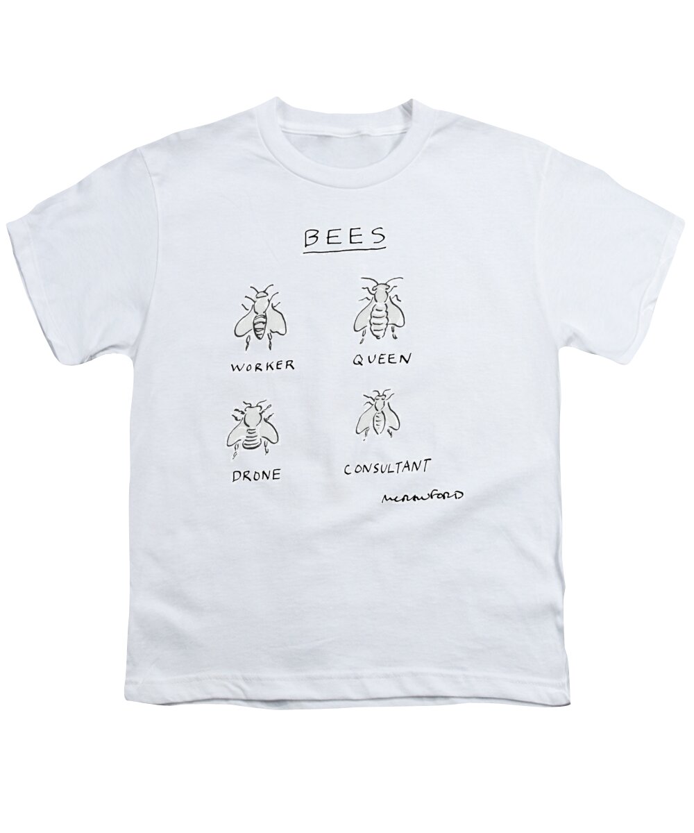 Bees:
Worker
Queen
Drone
Consultant Youth T-Shirt featuring the drawing New Yorker July 25th, 1983 by Michael Crawford